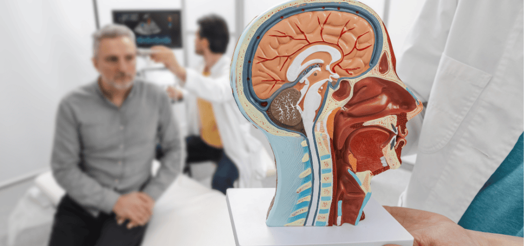 Vagus Nerve